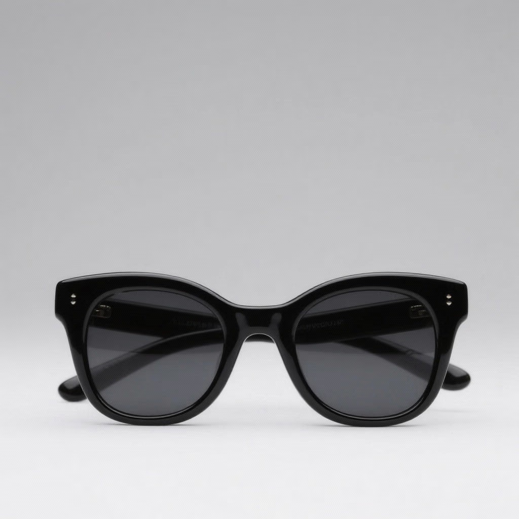 Classic Black Acetate Sunglasses